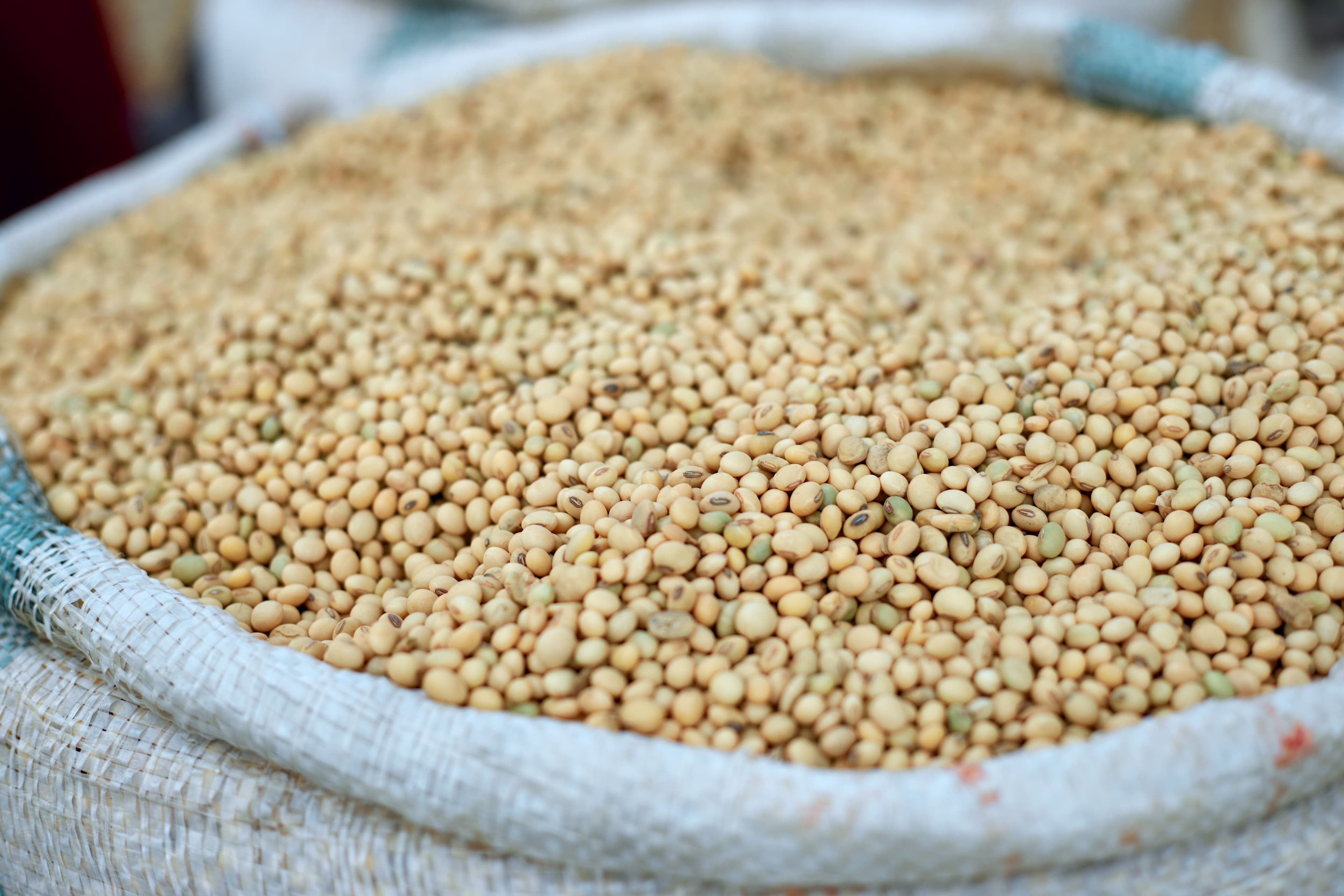 Beans & Pulses