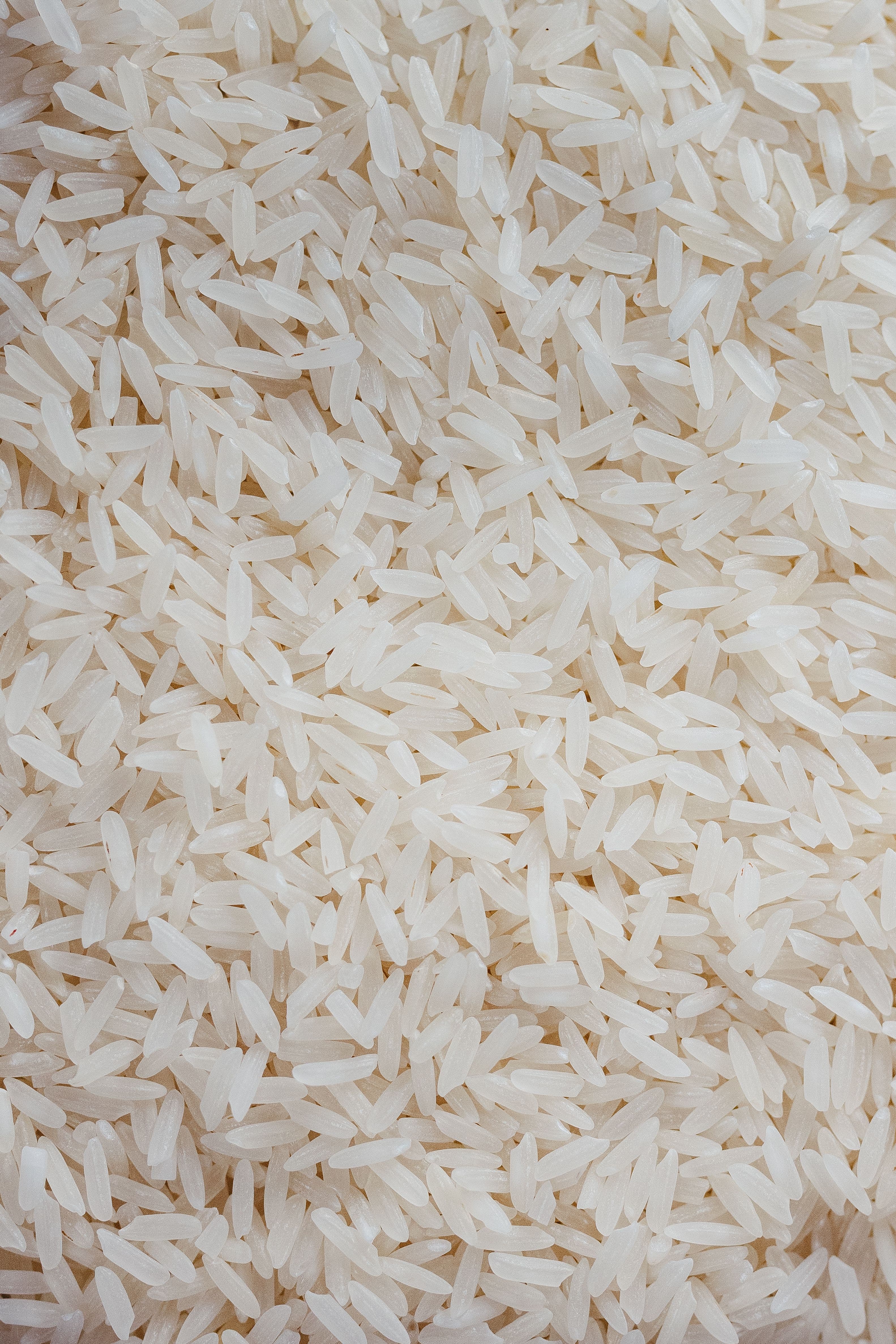Rice & Grains