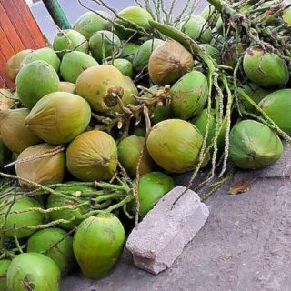 Noix de coco