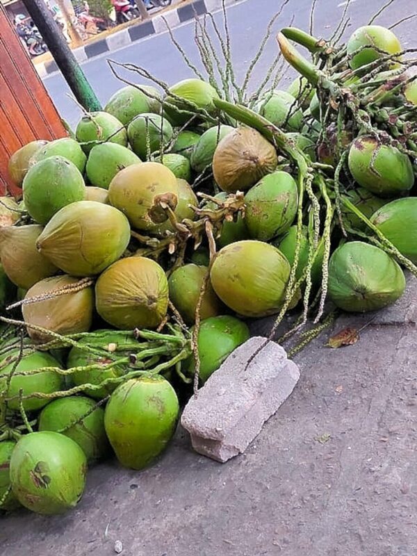 Noix de coco