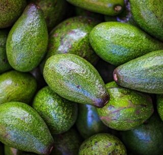 avocat