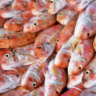 Poisson
