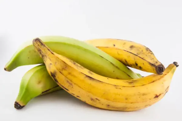 Banane Plantain