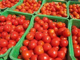 Tomate